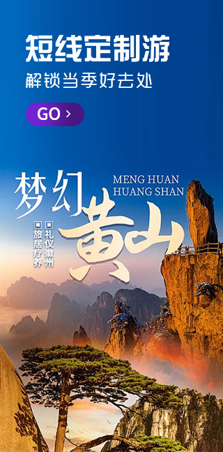 其他定制游