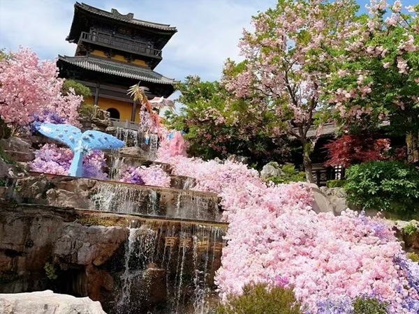 常州茅山2日 探索茅山森林世界的奇幻之旅 + 沉浸东方盐湖城的温泉仙境，享受您的私人定制梦幻假期
